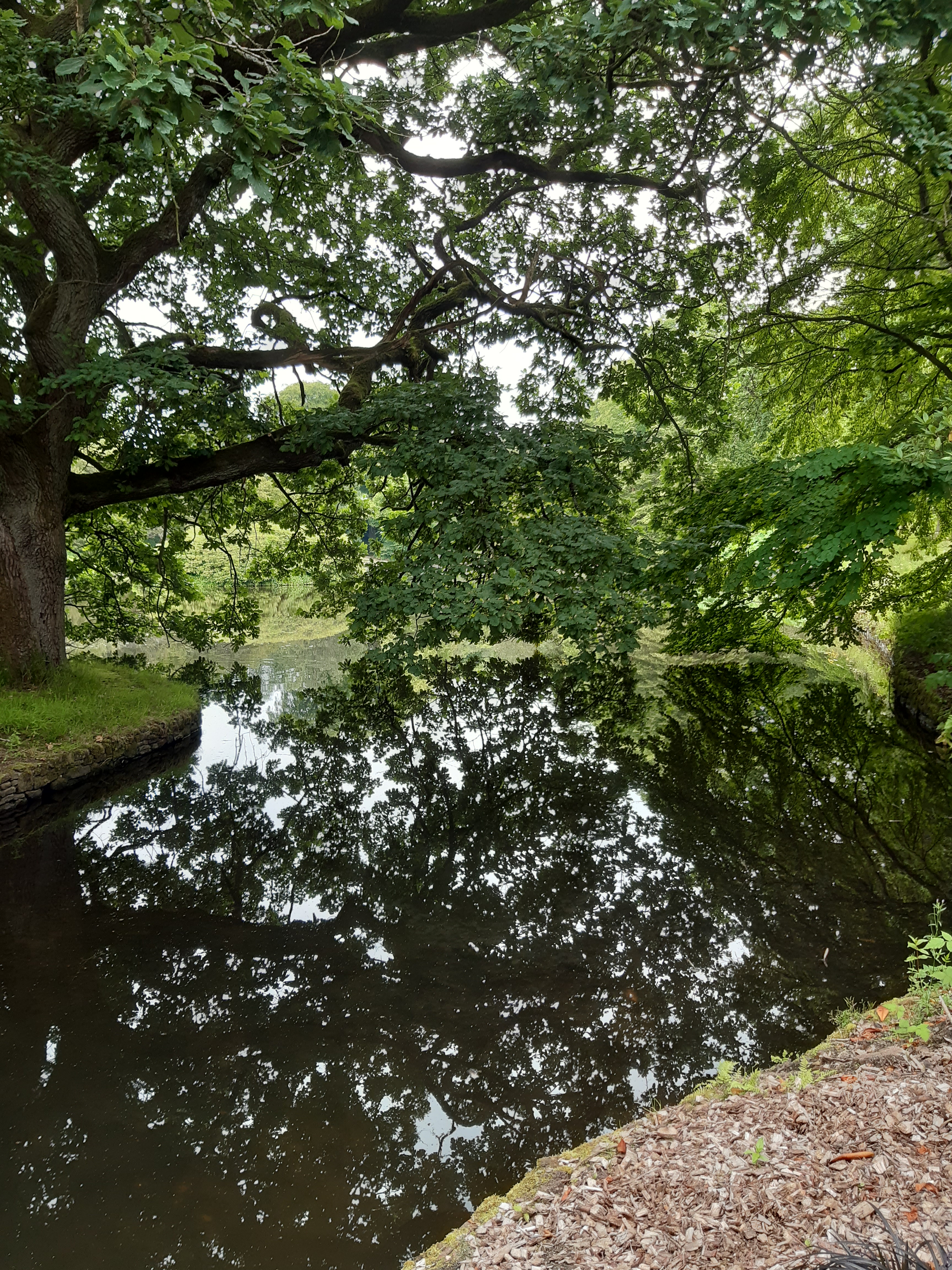 Lyme Park - Pemberley - garden - giardino