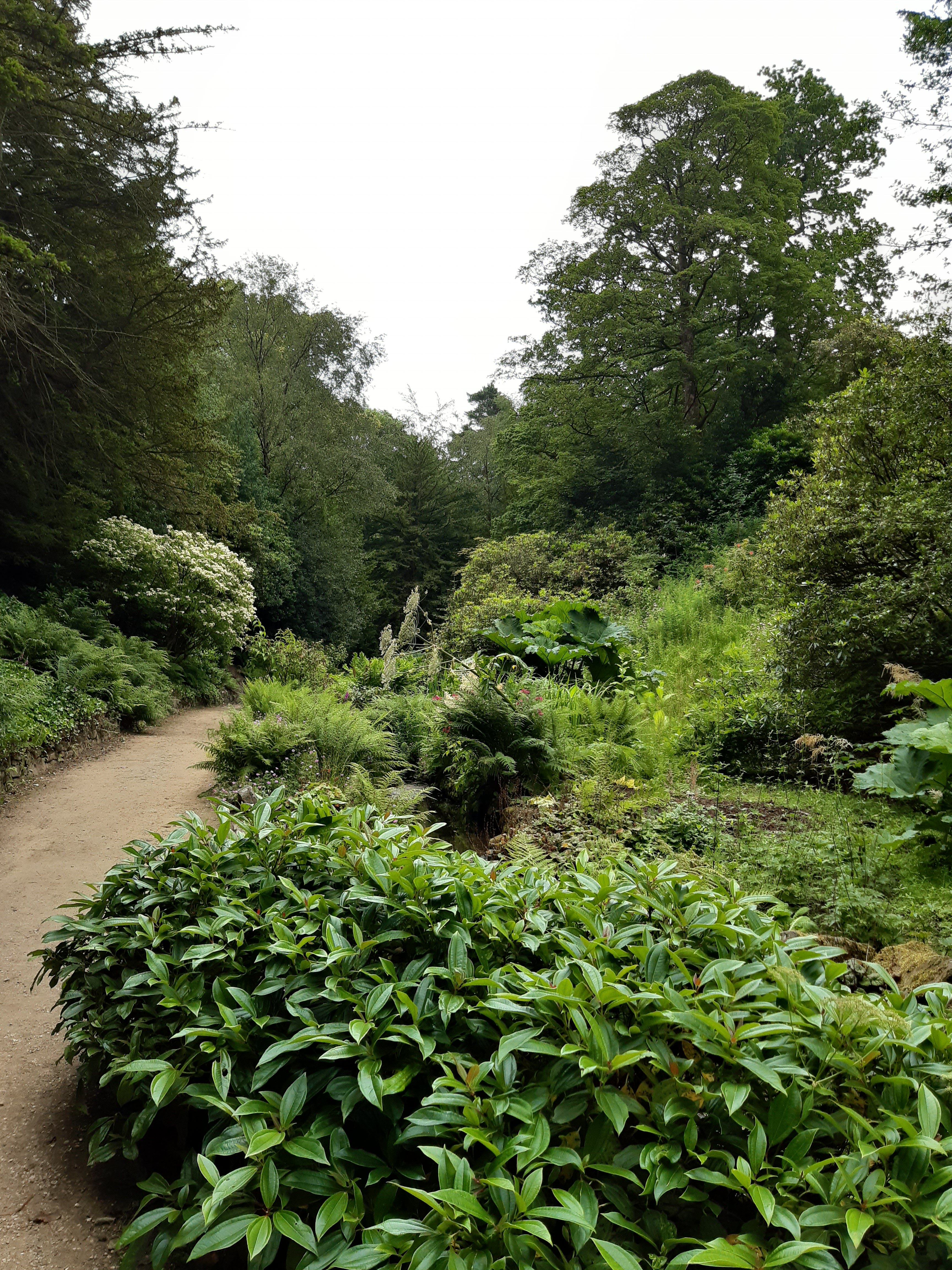 Lyme Park - Pemberley - garden - giardino